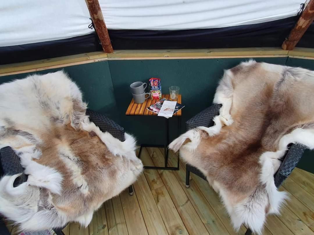 Reindeer Lodge Jukkasjärvi Εξωτερικό φωτογραφία