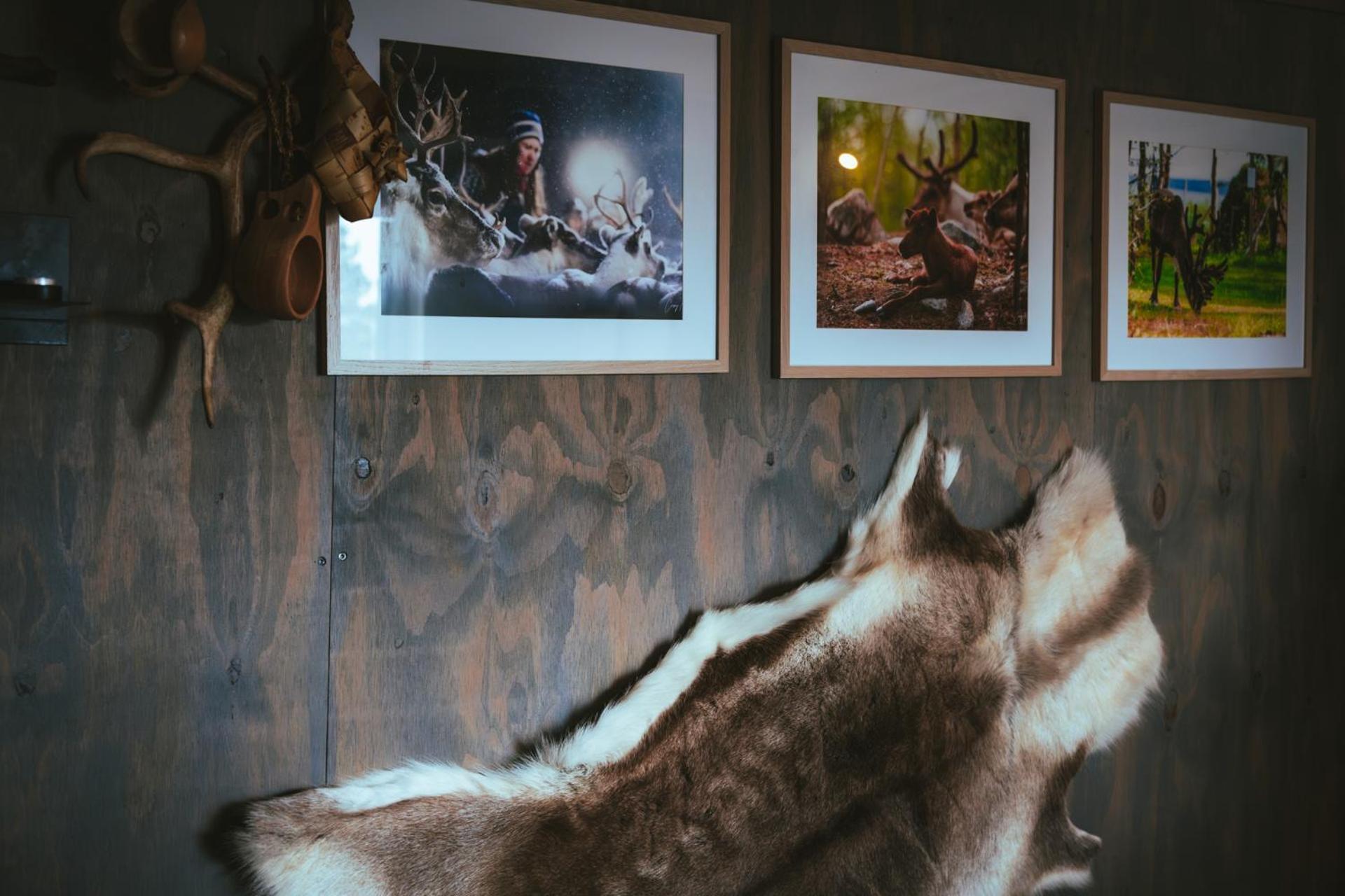 Reindeer Lodge Jukkasjärvi Εξωτερικό φωτογραφία